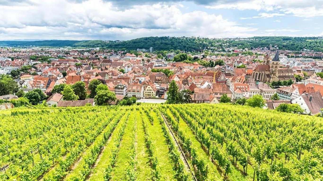 Apartment Kleines Appartement Gut Und Preiswert Stuttgart